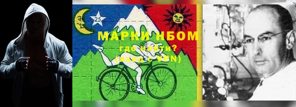 стаф Алзамай