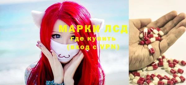 стаф Алзамай