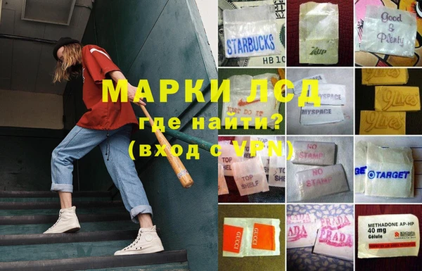 сатива Алексеевка