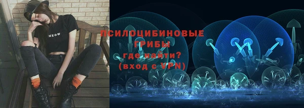 сатива Алексеевка