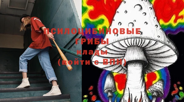 сатива Алексеевка