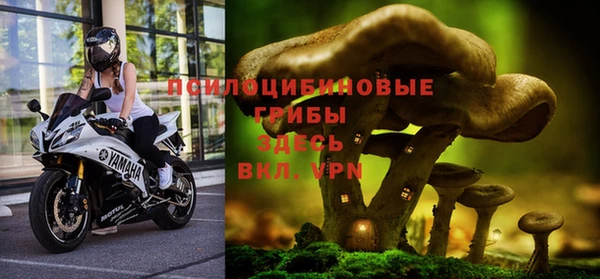 дурь Алексин