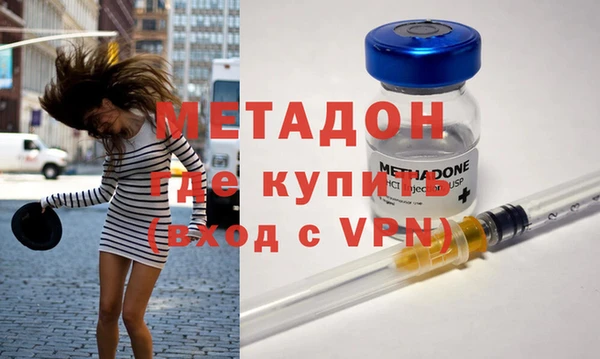 стаф Алзамай