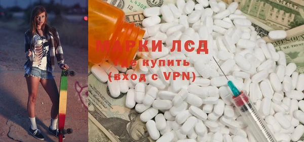 стаф Алзамай