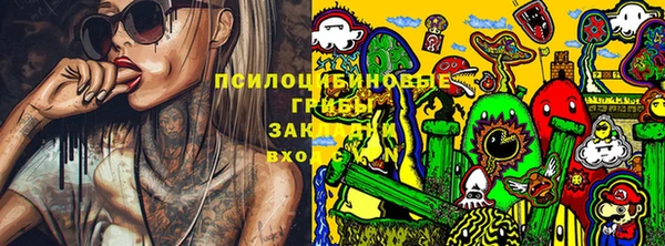 дурь Алексин
