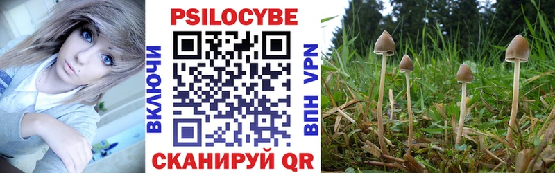 Галлюциногенные грибы Cubensis  Дно 